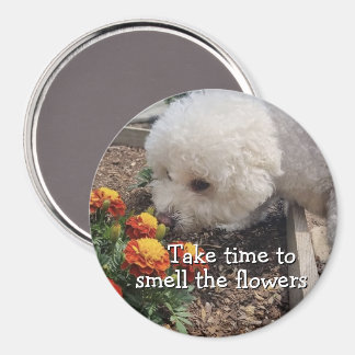 Ruik de Bloemen Magneet