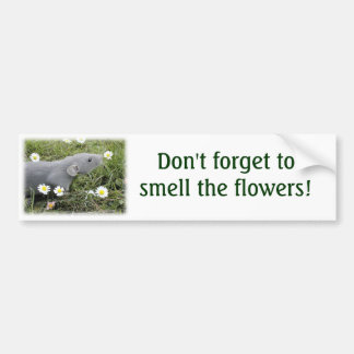 Ruik de Bumpersticker Flowers