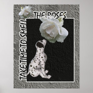 Ruik de Rozen Dalmatiaan Puppy Inspirerend Poster