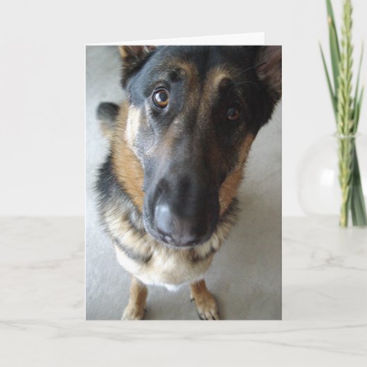 Ruik ik ik taart?  Verblijfswensen... Kaart (Voorkant)