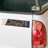 Ruimtecat Bumpersticker (Op Truck)