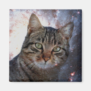 Ruimtecat Magneet