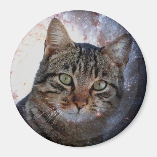 Ruimtecat Magneet (Voorkant)