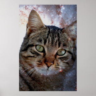 Ruimtecat Poster
