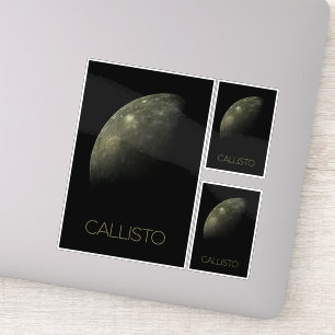 Ruimtevaart, Kosmos, Zonnestelsel, Maan Callisto Sticker