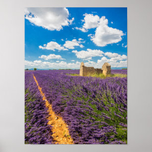 Ruin in Lavender Field, Frankrijk Poster