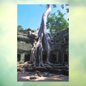 Ruin van Ta Prohm - Angkor Wat, Cambodja, Azië Raamsticker (Vel 3)