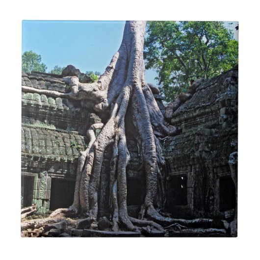 Ruin van Ta Prohm - Angkor Wat, Cambodja, Azië Tegeltje (Voorkant)