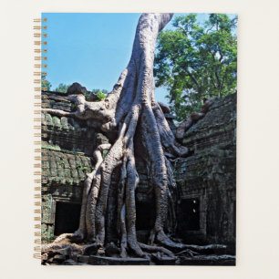 Ruine de Ta Prohm - Angkor Vat, Cambodge, Asie
