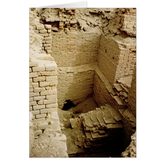 ruine du palais (Devant)