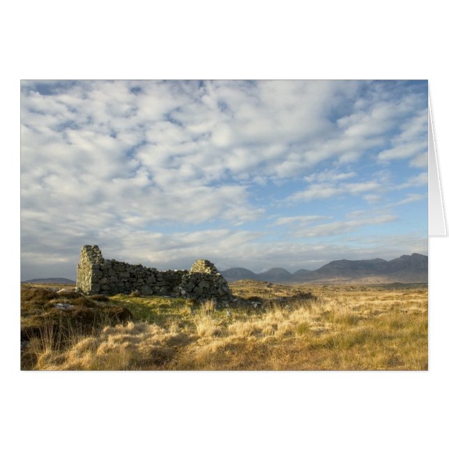 ruine irlandaise (Devant horizontal)