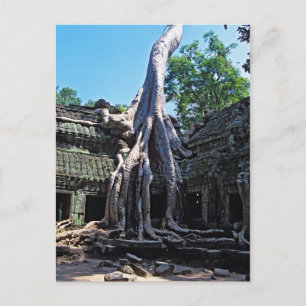 Ruïne van Ta Prohm - Angkor Wat, Cambodja, Azië Briefkaart