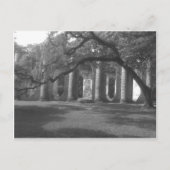 Ruins of Old Sheldon Church in Yemassee, SC Briefkaart (Voorkant)