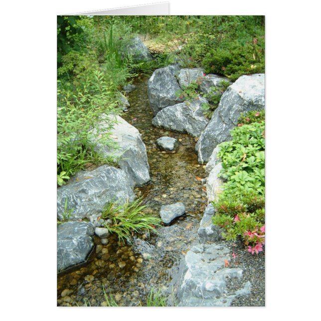 Ruisseau (Devant)