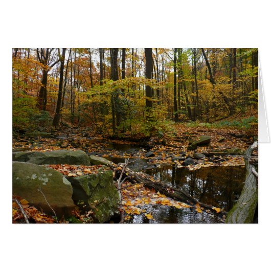 Ruisseau de Fall avec reflet au parc Laurel Hill (Devant horizontal)