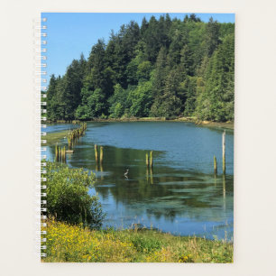 Ruisseau Scholfield, Reedsport, Oregon