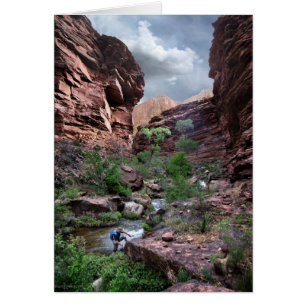 Ruisseau Tapeats - Grand Canyon - Thunder River