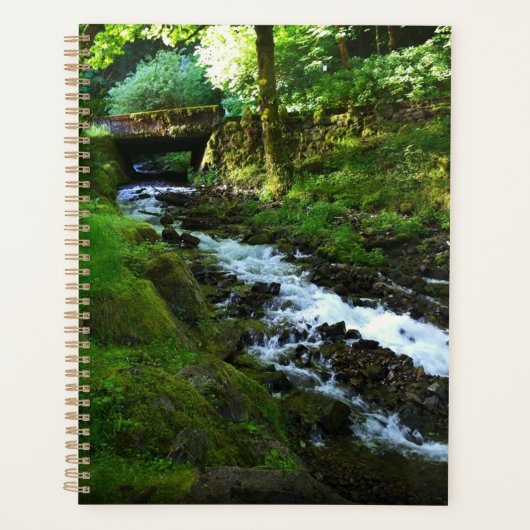 Ruissellement de Wahkeena Falls, OR (Devant)