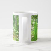 Ruissellement sous la Mug des arbres (Dos)