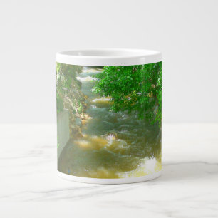 Ruissellement sous la Mug des arbres