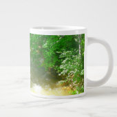 Ruissellement sous la Mug des arbres (Droite)