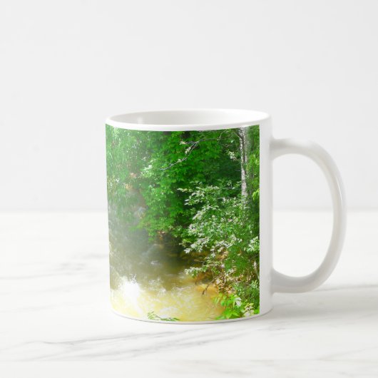 Ruissellement sous la Mug des arbres (Droite)