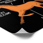 Ruitanatomie van een paardenloop poster (Hoek)