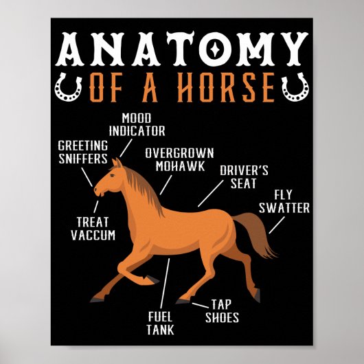 Ruitanatomie van een paardenloop poster (Voorkant)