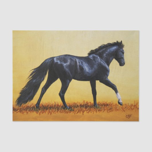 Ruitend Horse Black Stallion Tissuepapier (Voorkant)
