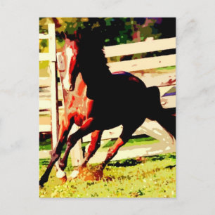 Ruitend paard briefkaart