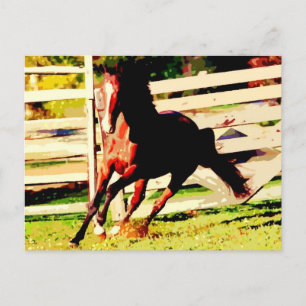 Ruitend paard briefkaart