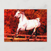Ruitend paard briefkaart (Voorkant)