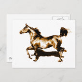 Ruitend paard briefkaart (Voorkant / Achterkant)