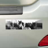 Ruitend paard bumpersticker (Op auto)