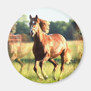 Ruitend paard magneet