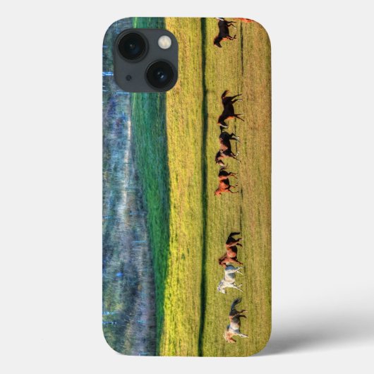 Ruitend paardenbeslag en paardenpasta 2 Case-Mate iPhone case (Achterkant)