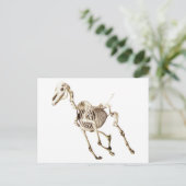 Ruitend Skelet Briefkaart (Staand voorkant)