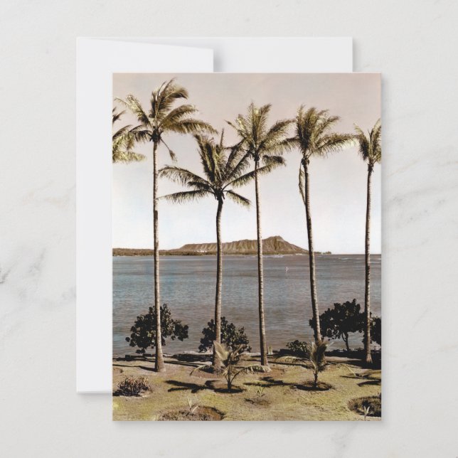 Ruitenkop Hawaii 1940 (Voorkant)