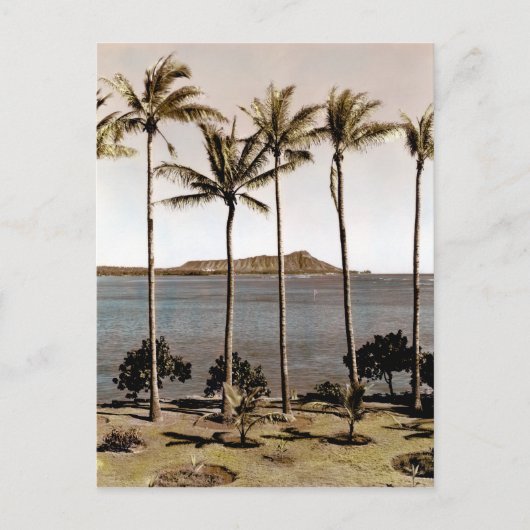 Ruitenkop Hawaii 1940 Briefkaart (Voorkant)