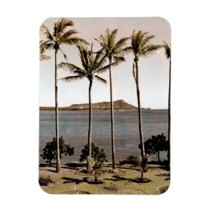 Ruitenkop Hawaii 1940 Magneet