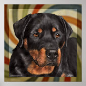 ruiter poster (Voorkant)