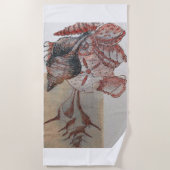 Rum Cay, Bahamas, Coquillages : Serviette (Devant)