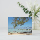 Rum Point - Caymaneilanden Briefkaart (Staand voorkant)