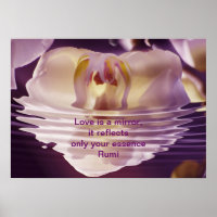 Rumi Love is een spiegel