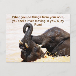 Rumi Soul joy Aankondigingskaart