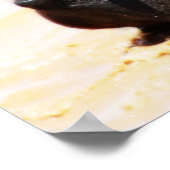 Rumi Soul joy Poster (Hoek)