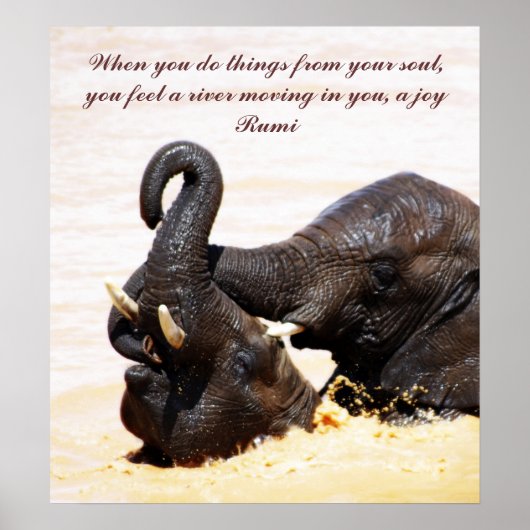 Rumi Soul joy Poster (Voorkant)