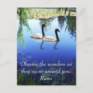Rumi The wonders Briefkaart
