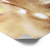 Rumi waar je ook staat poster (Hoek)