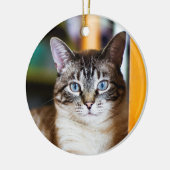 Rummy Full of Flies Siamese Cat Ornament (Links)